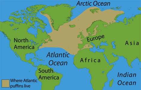 Map of Atlantic puffin range.